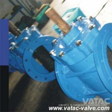 API6d RF Extrémité excentrique Plug Valve